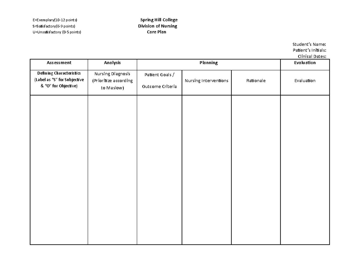 care-plan-1-care-plan-example-s-satisfactory-6-9-points-division