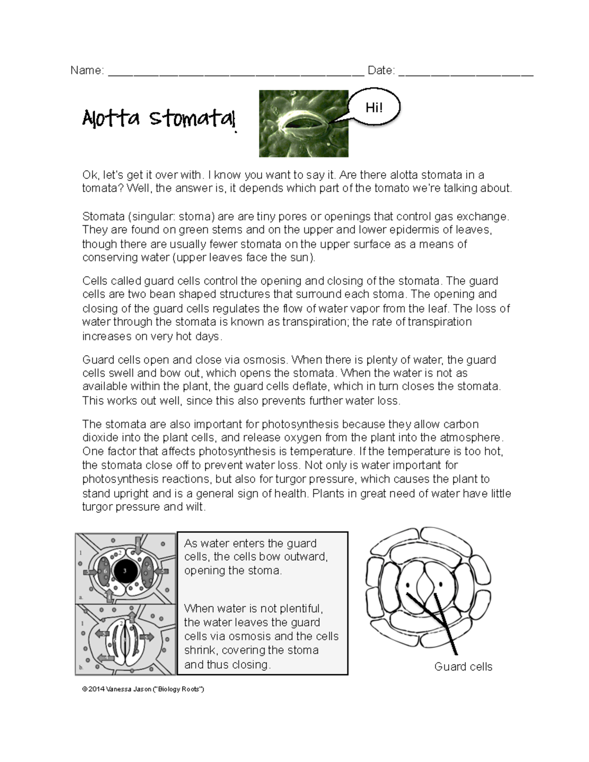 Alotta Stomata - Alotta Stomata! Hi! Name ...