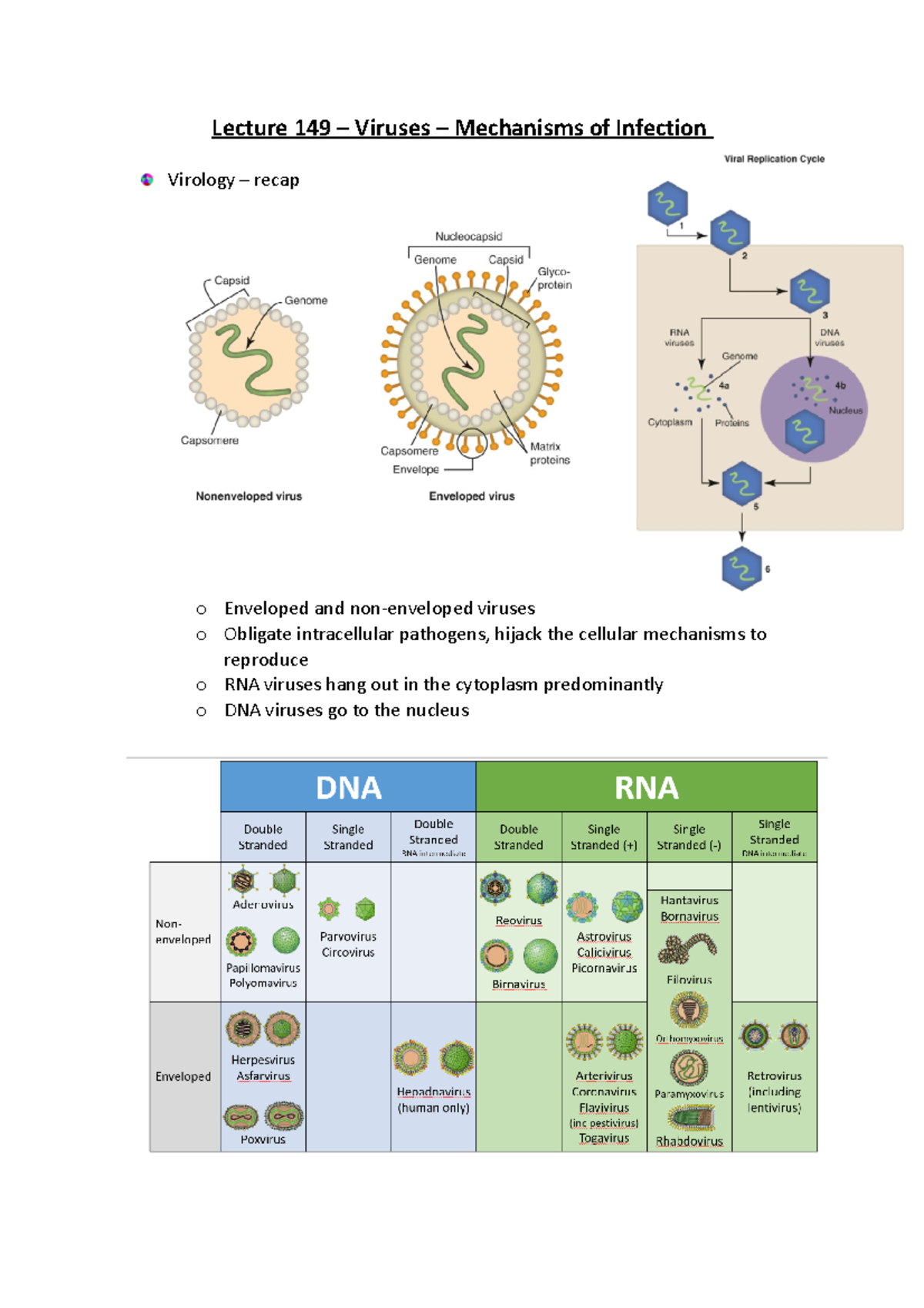 Lecture 149 – Viruses - Lecture 149 – Viruses – Mechanisms Of Infection ...