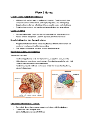 Week 2 Tutorial Notes - Week 2 Tutorial Notes: The Stroop Effect ...