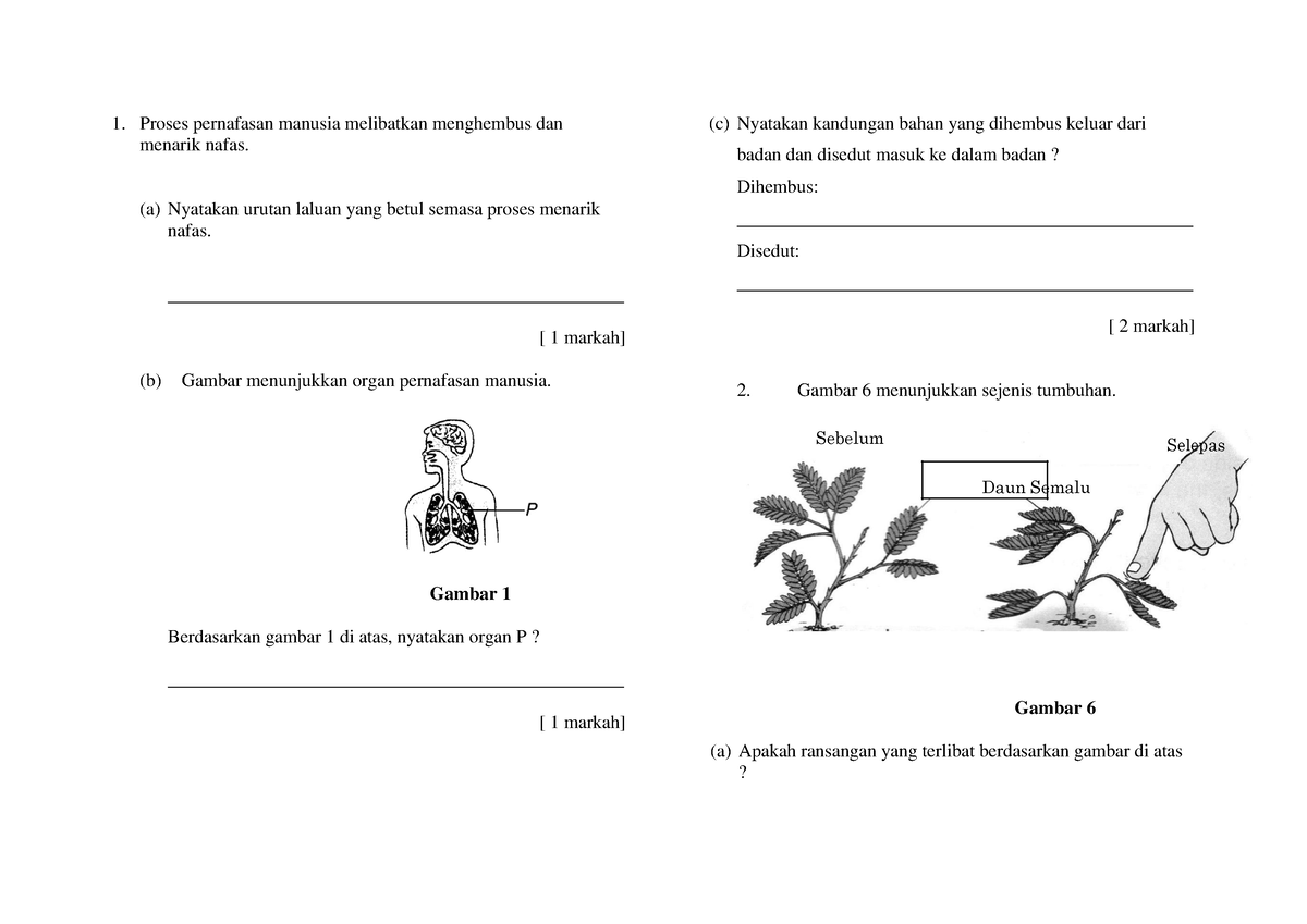 Sains Ujian Tahun 4 Proses Pernafasan Manusia Melibatkan Menghembus