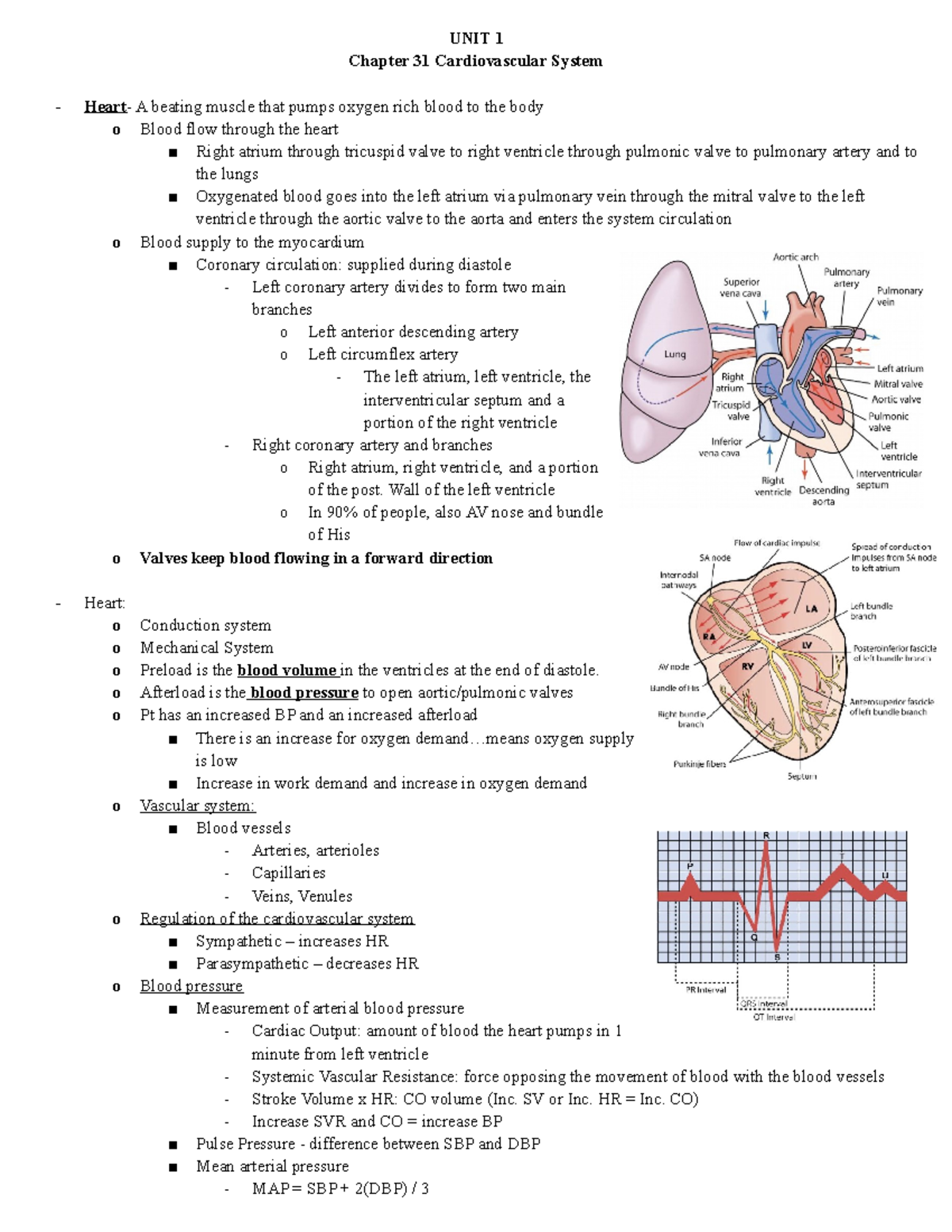 Chapter 31 - Lewis' Medical Surgical Nursing notes - UNIT 1 Chapter 31 ...