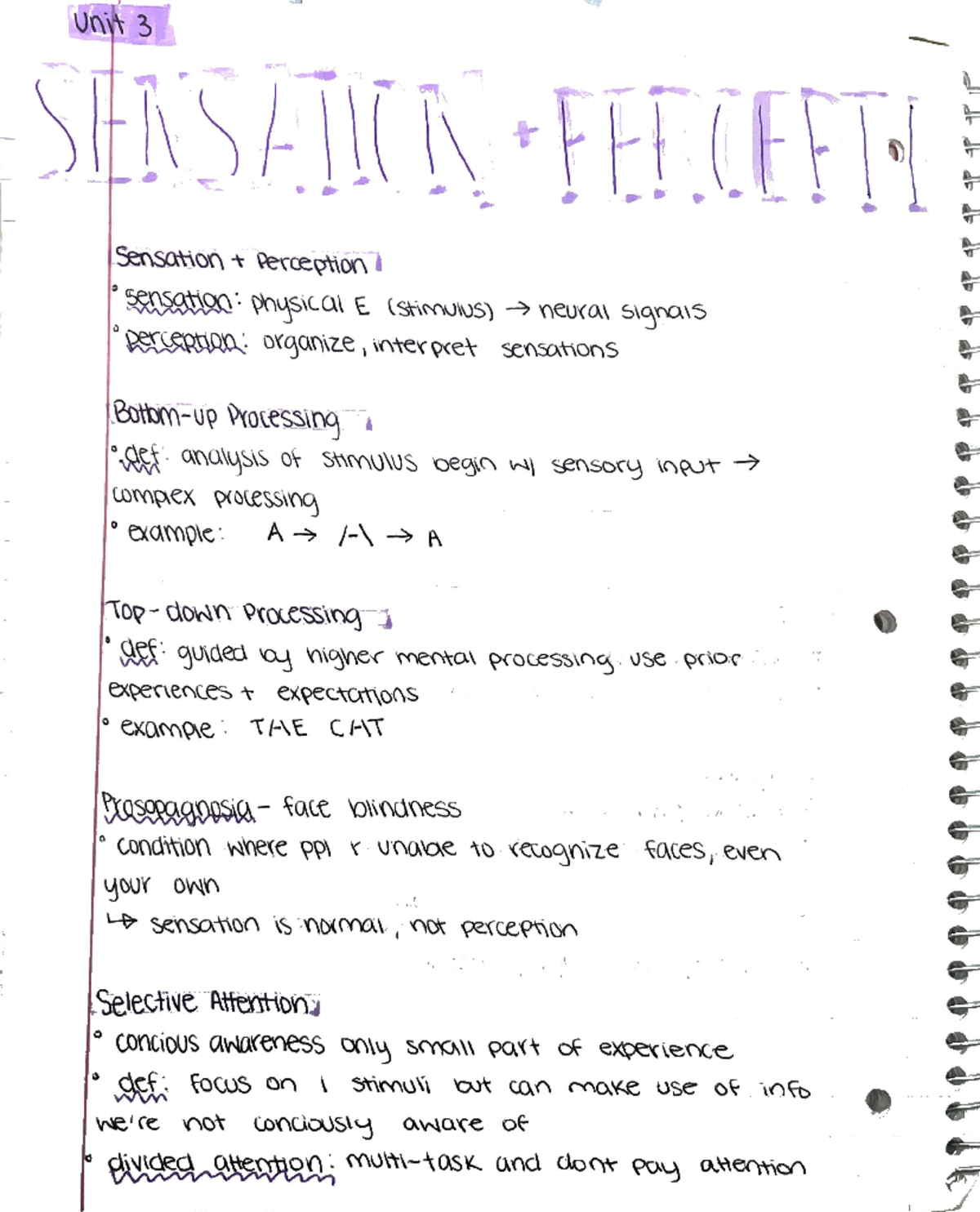 Psych 3 - PSY 101 - Studocu