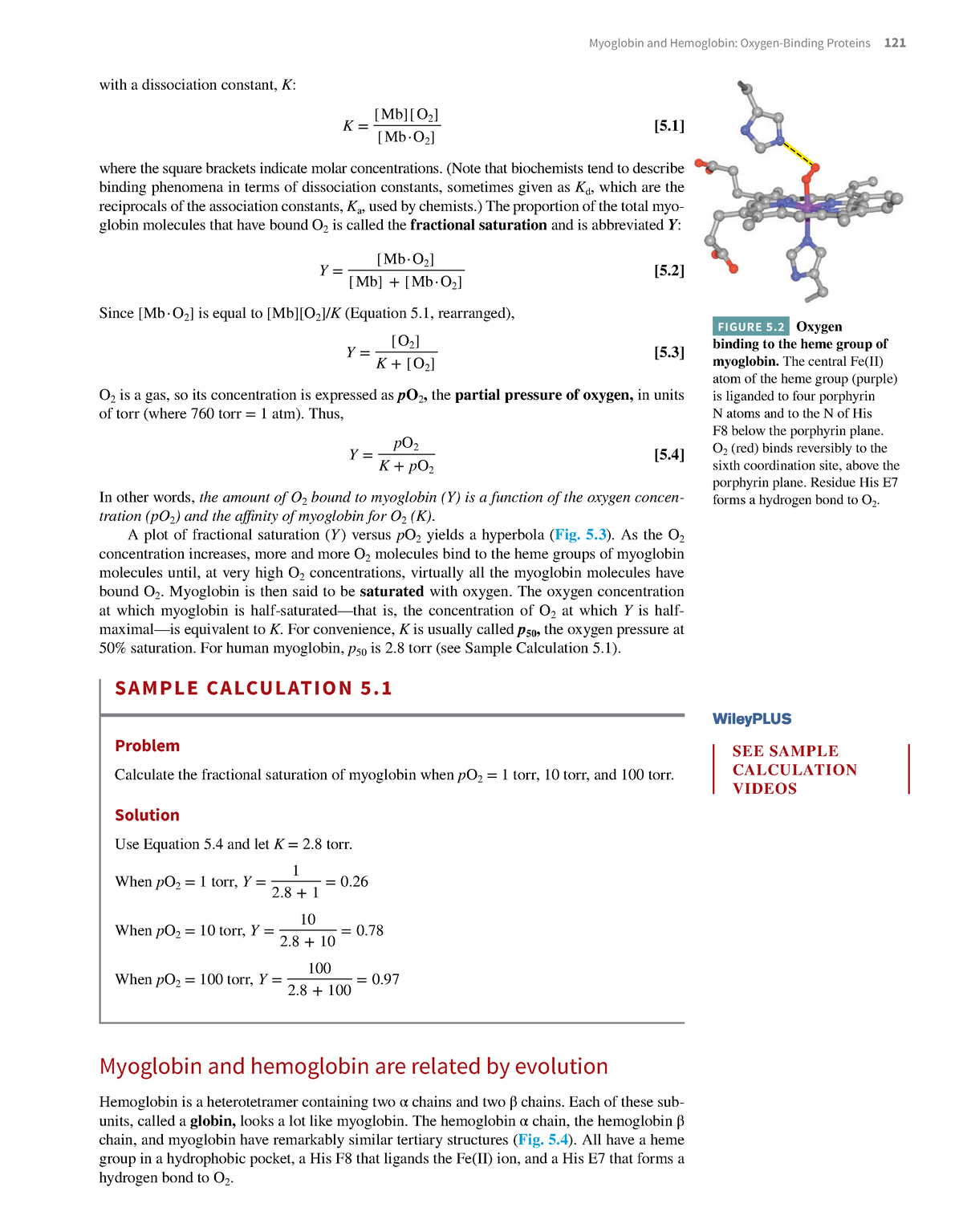 Essential-biochemistry-47 - Myoglobin And Hemoglobin: Oxygen-Binding ...