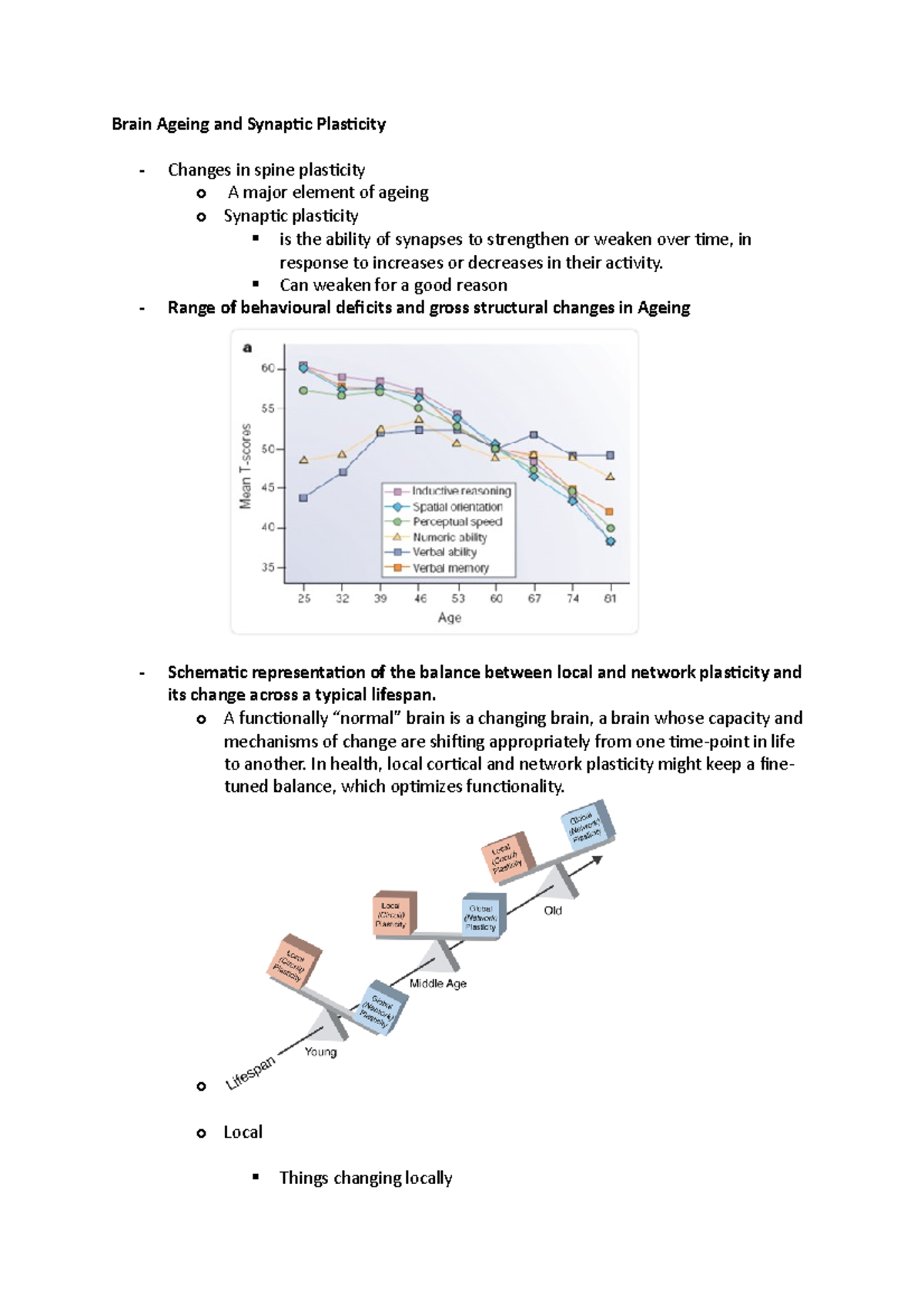 Brain Ageing and Synaptic Plasticity - Can weaken for a good reason ...