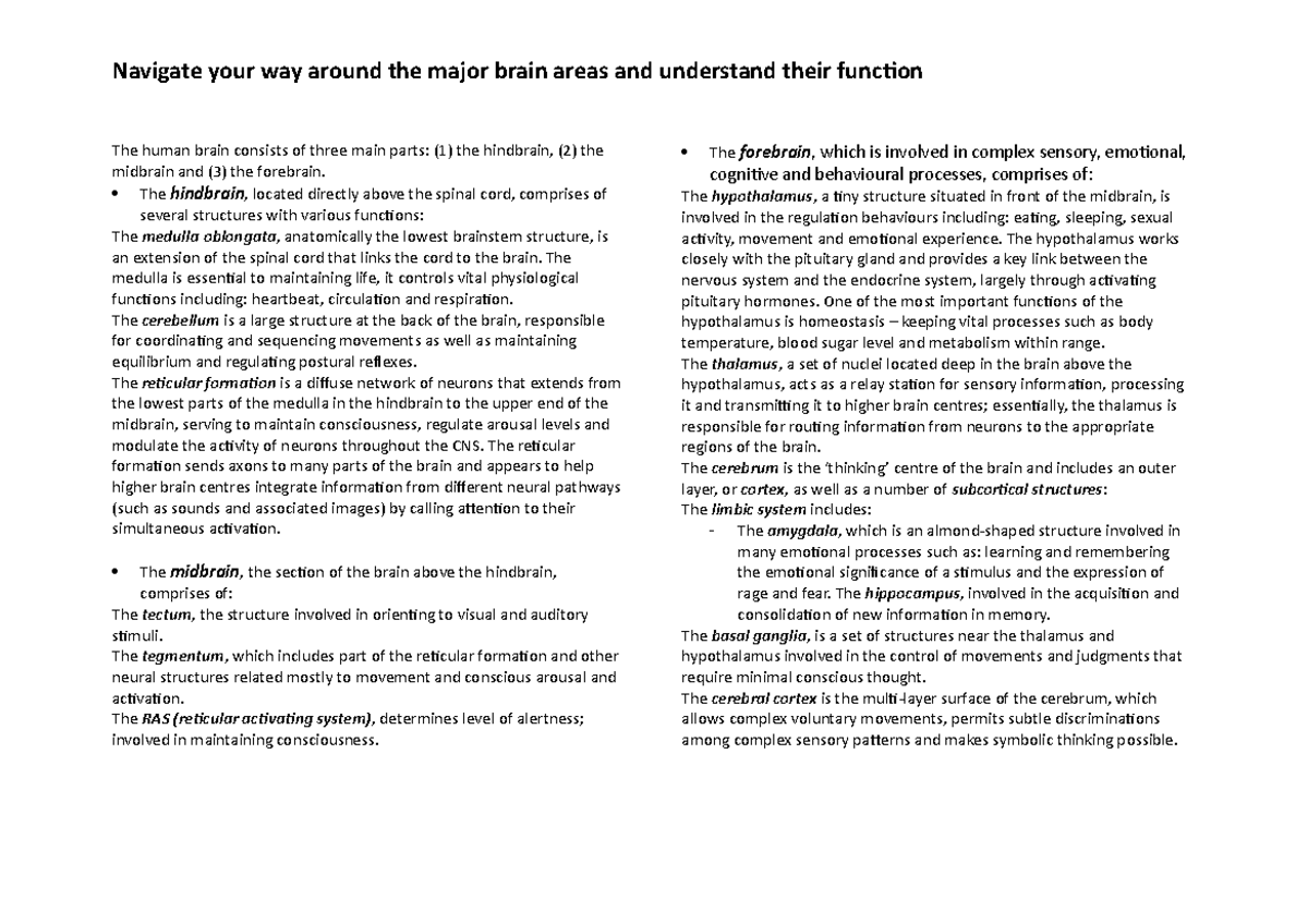 Brain structures and functions - Navigate your way around the major ...