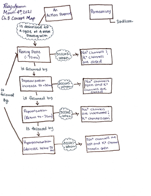 Anatomy and Physiology Lab 1 - Name: OL Lab 1: Homeostatic Control: How ...