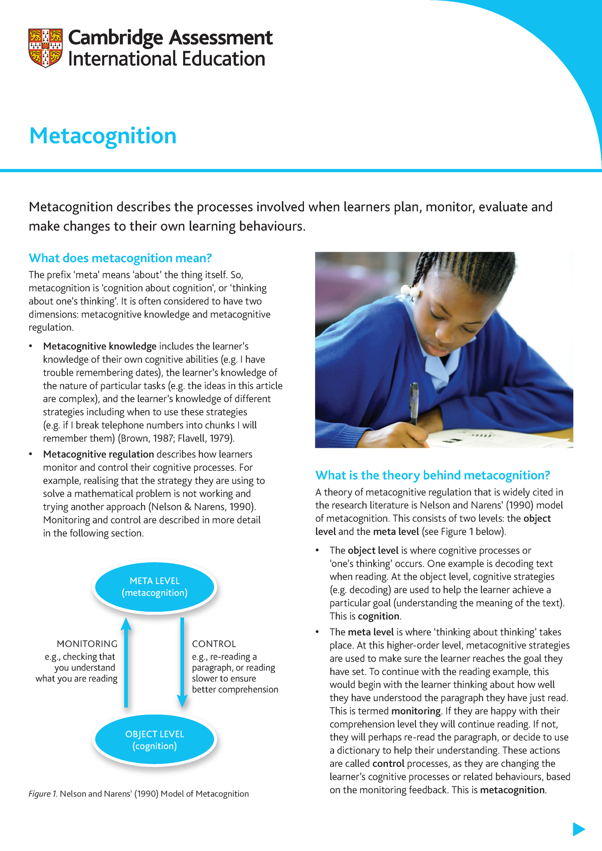 272307-metacognition-what-does-metacognition-mean-the-prefix-meta