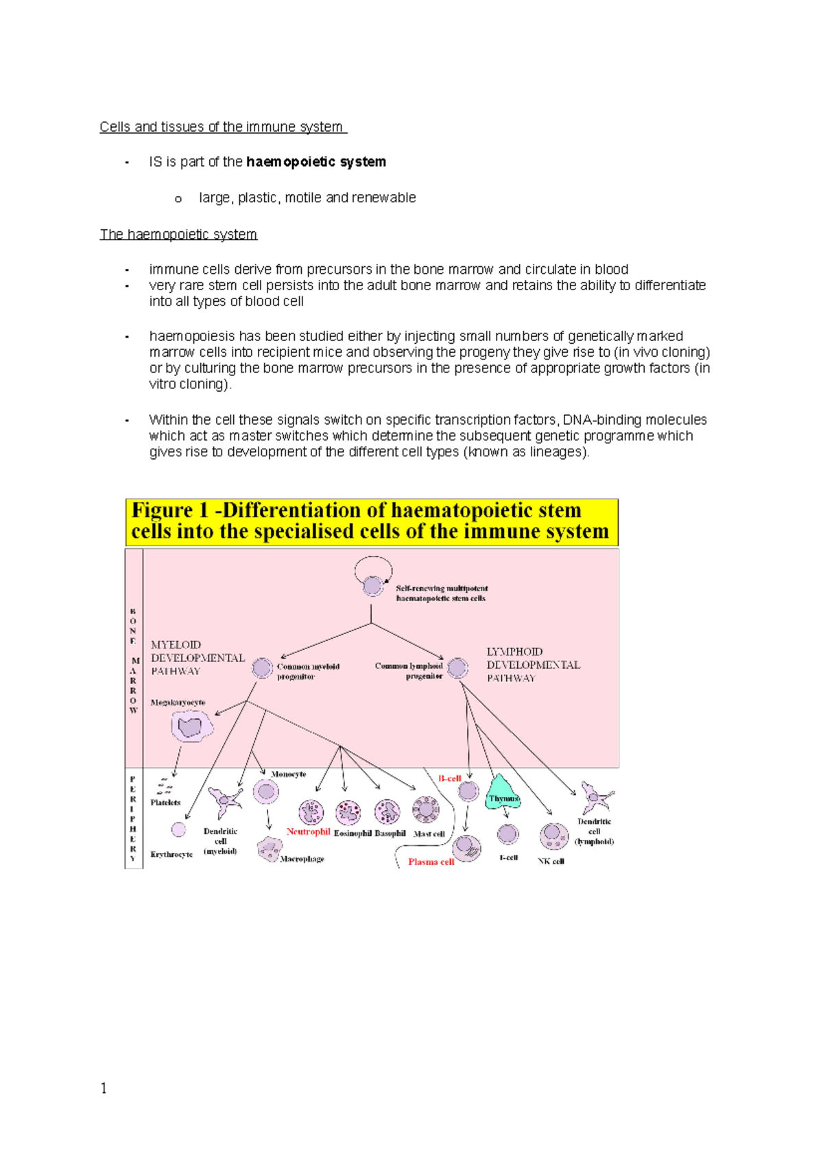 TCR, BCR, inflammation notes - INIM0005 - UCL - Studocu