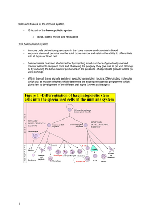 Immunological Tolerance And Autoimmunity - INIM0005 - UCL - Studocu