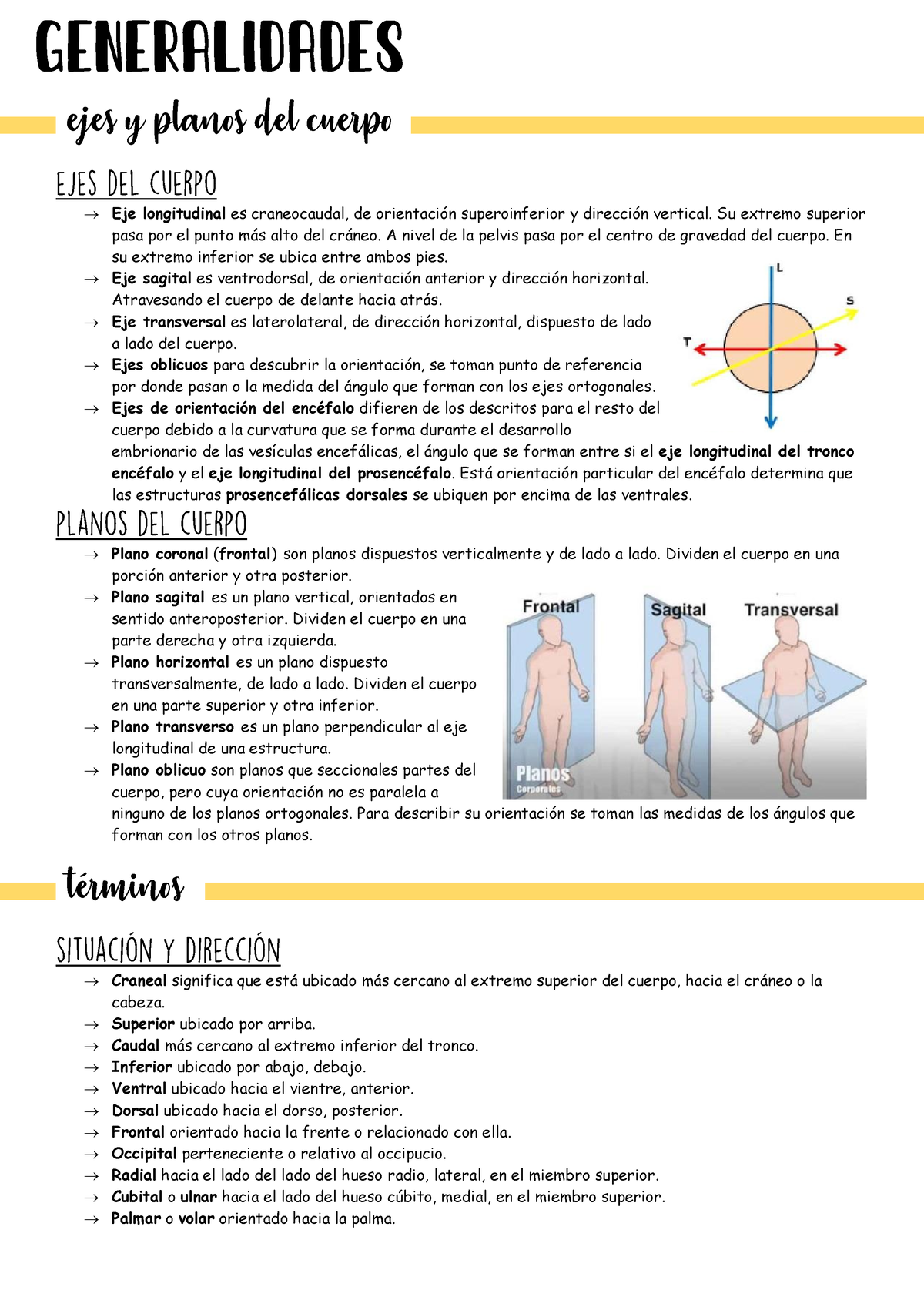 eje longitudinal del cuerpo