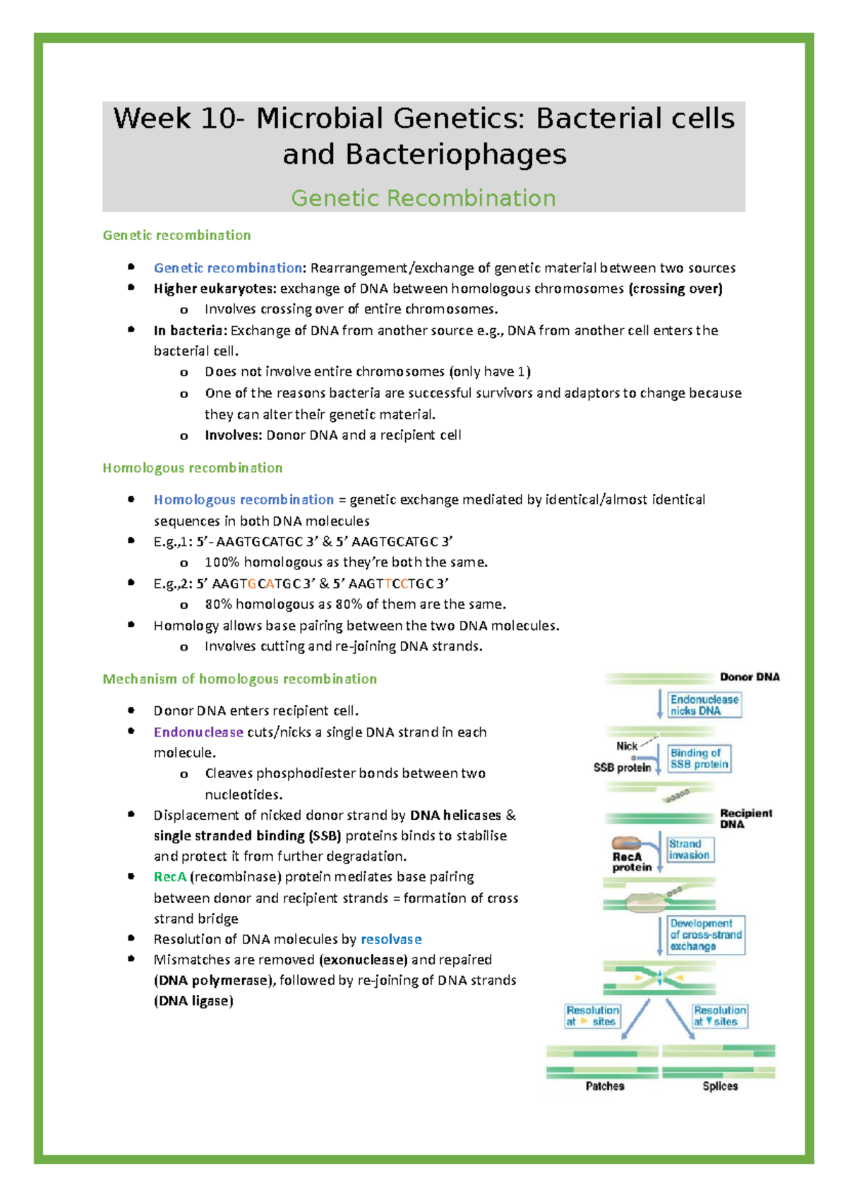 Week 10 Dictionary Definitions from Oxford Languages · Learn more