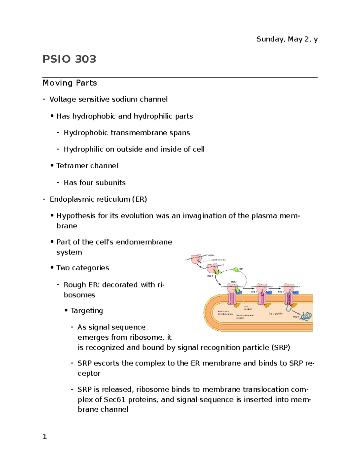 Lecture 6 - Moving Parts - Friday, May 3, Y PSIO 303 Moving Parts ...