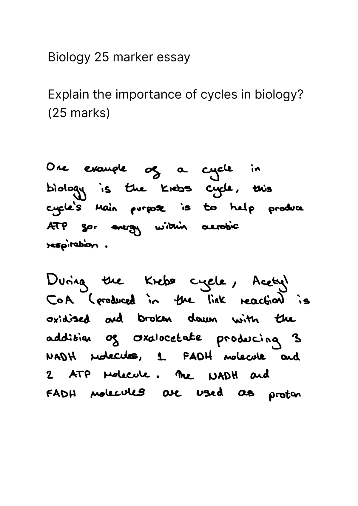 cycles essay a level biology