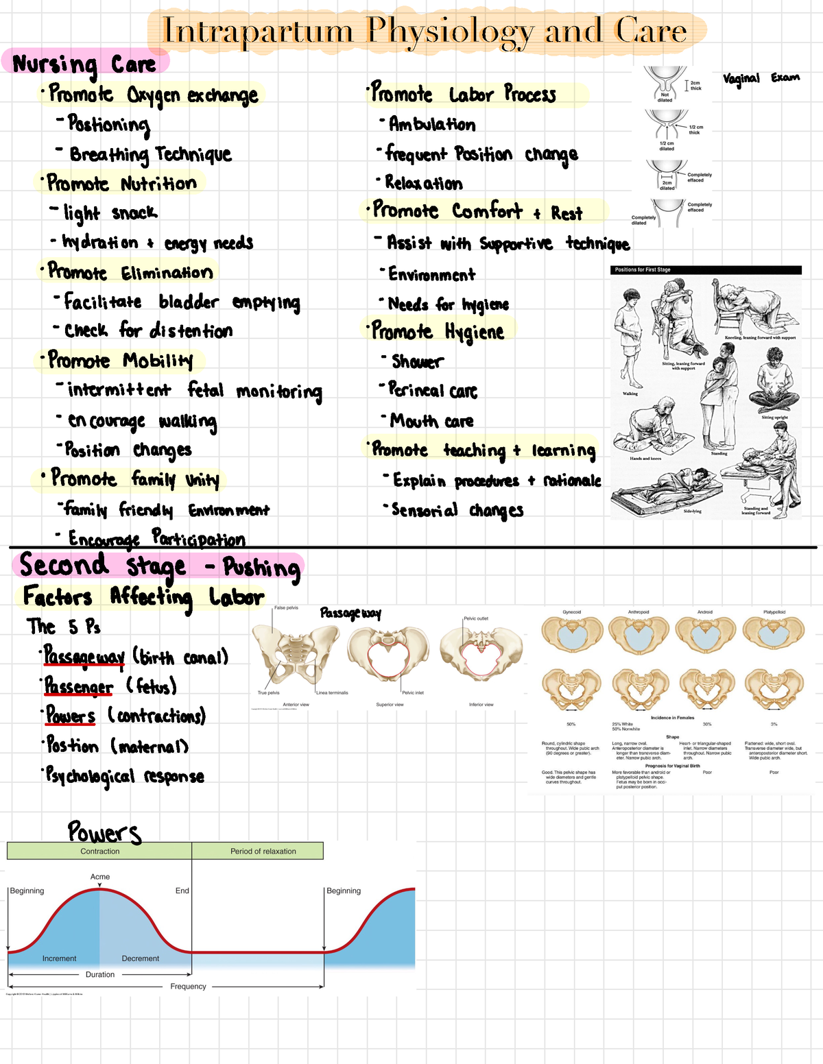 Labor And Delivery 2 Intrapartum Physiology And Care Intrapartum Physiology And Care Nursing 4495