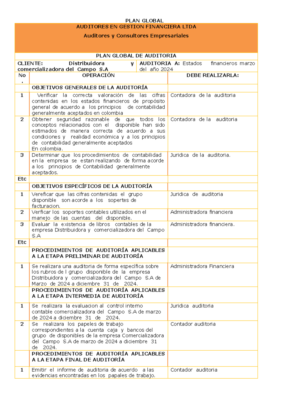 Esquema DE PLAN Global DE Auditoria - PLAN GLOBAL AUDITORES EN GESTION ...