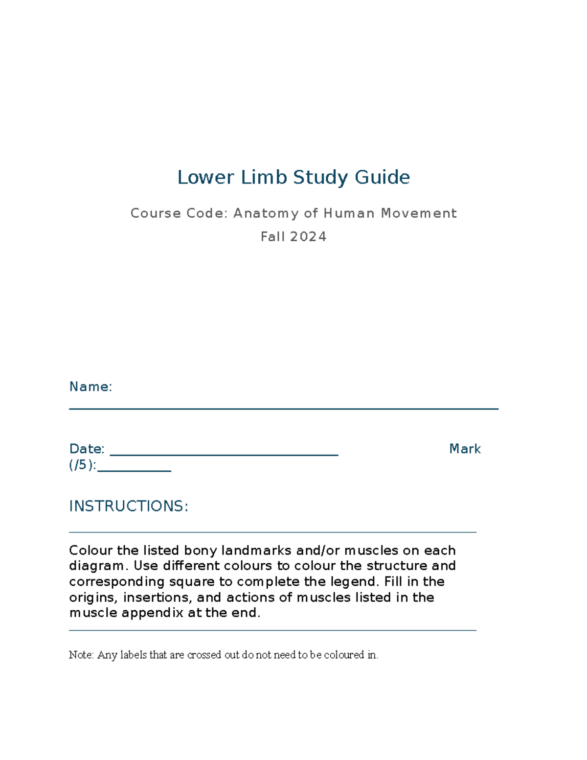 Lower Limb Study Guide - Fall 2024 - Lower Limb Study Guide Course Code ...