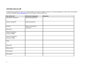 Copy Of Cell Types Se Answer Key Name Ailish Estevez Arache Date