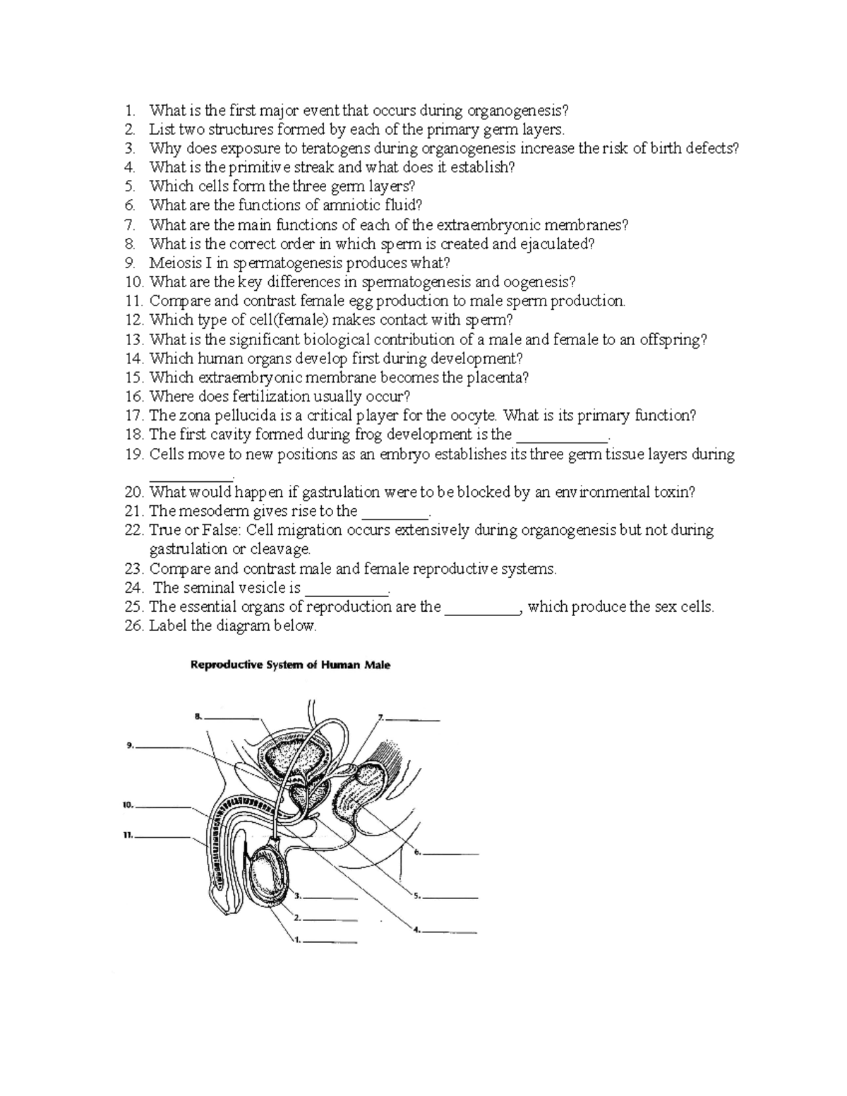 bio-2010-reproduction-practice-what-is-the-first-major-event-that