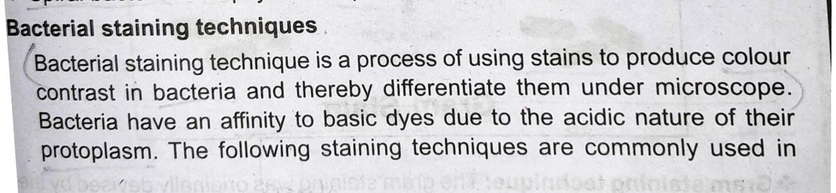 Bacterial Staining Technique Commonly Using Bacterial Staining