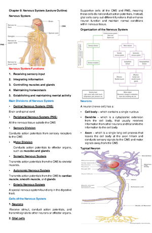 Anatomy and Physiology Chapter 11 - Chapter 11: BLOOD Blood the “river ...