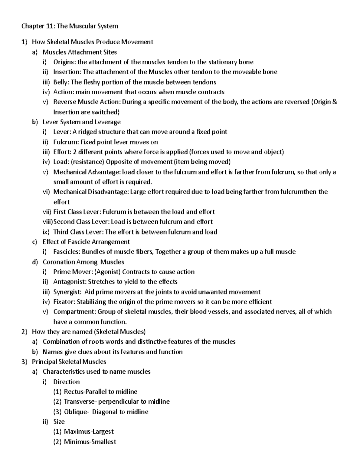 Week 2 Bio 252 Notes - Chapter 11: The Muscular System How Skeletal ...