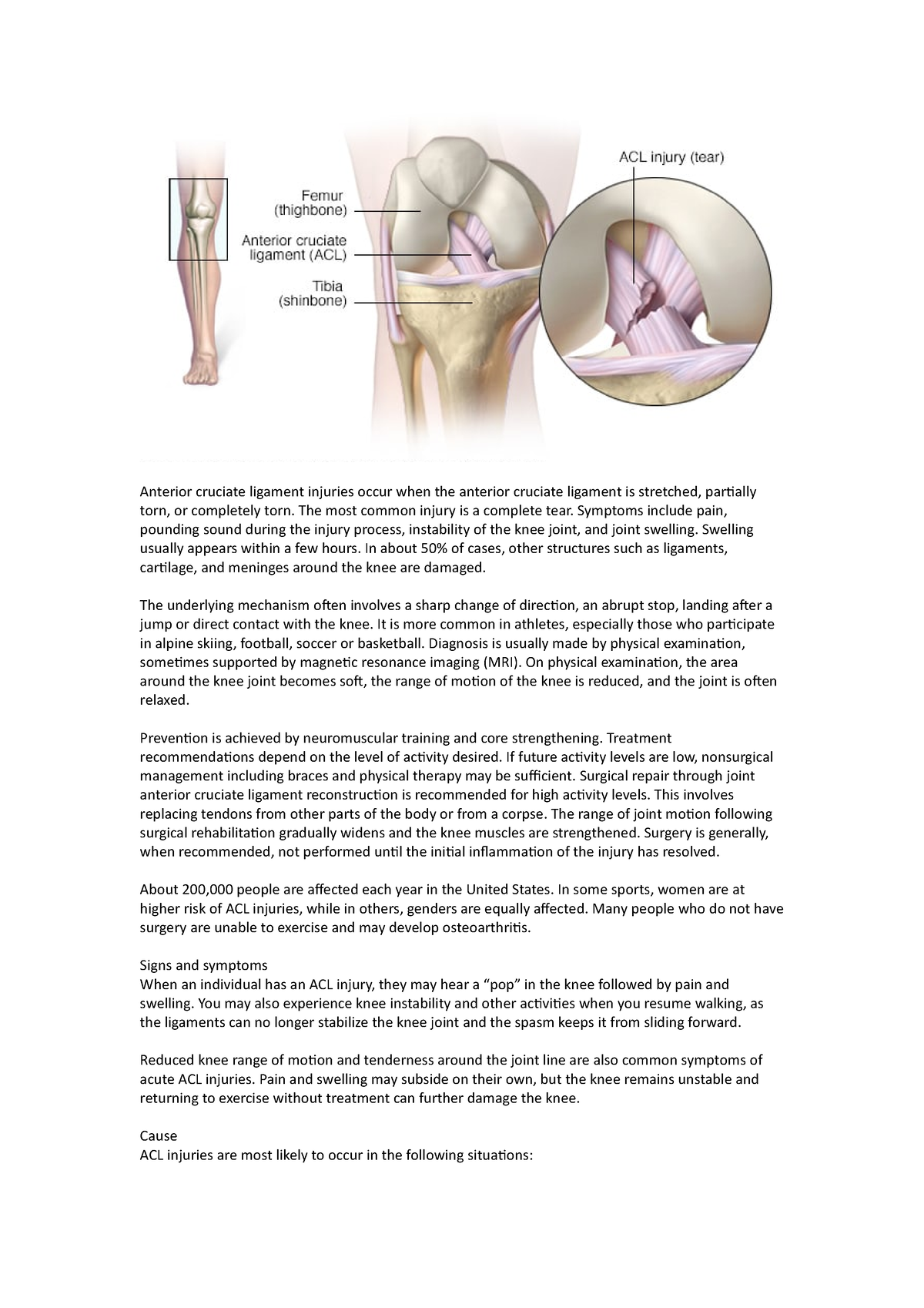 Anterior cruciate ligament notes - Anterior cruciate ligament injuries ...