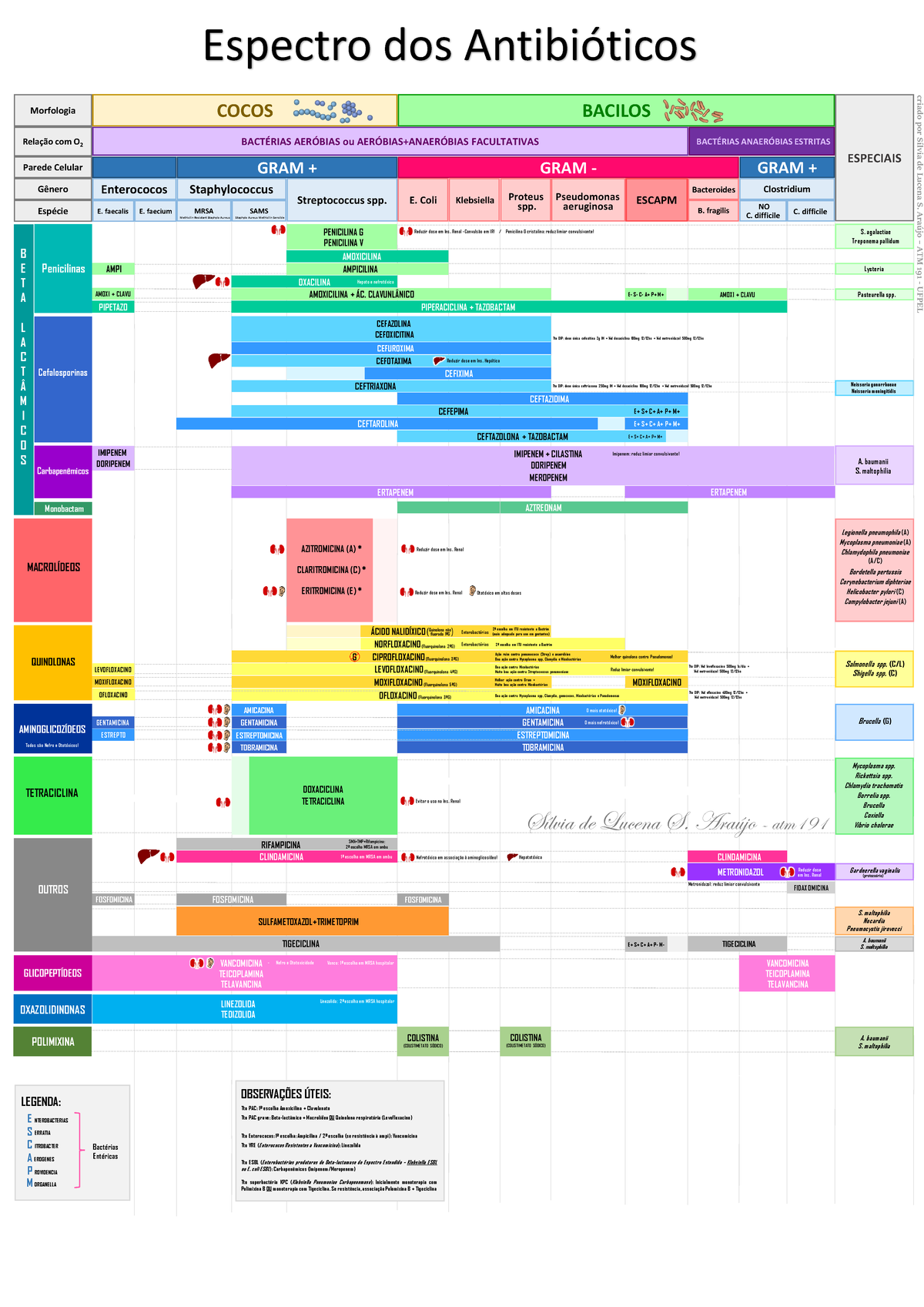 tabela de classificação de antibióticos