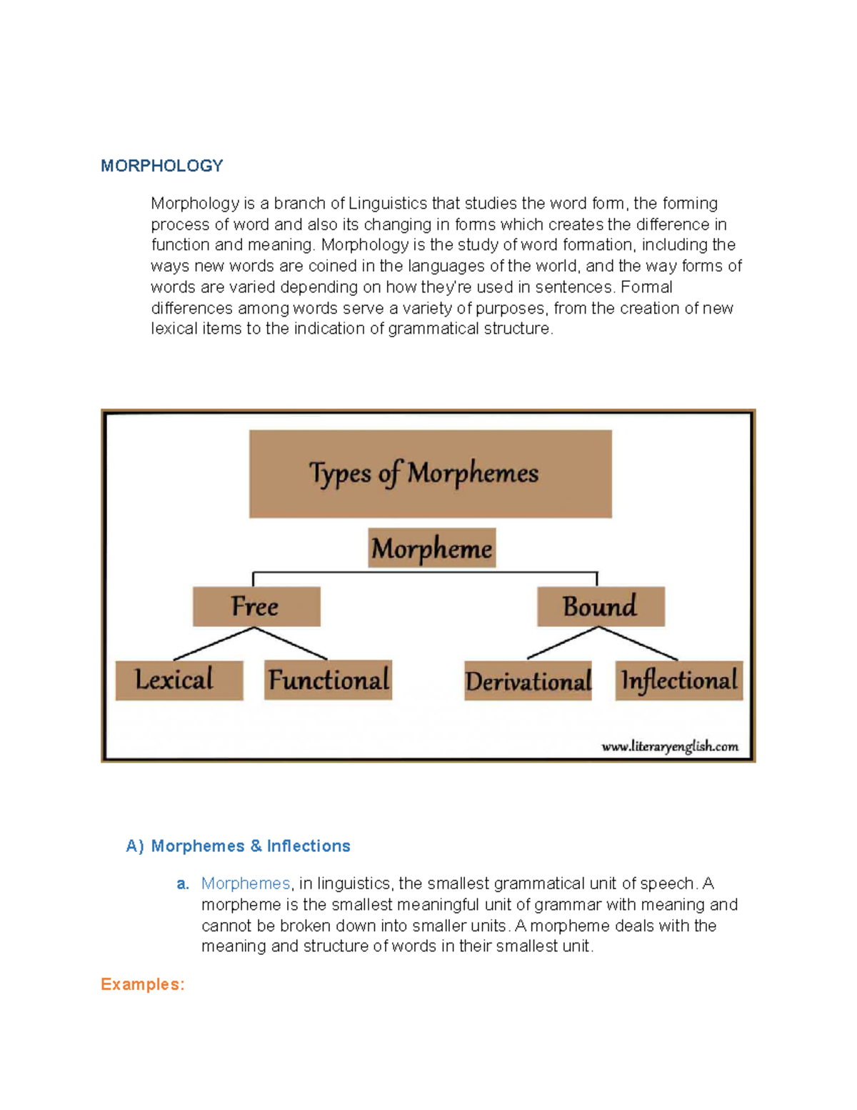 Morphology - MORPHOLOGY Morphology Is A Branch Of Linguistics That ...