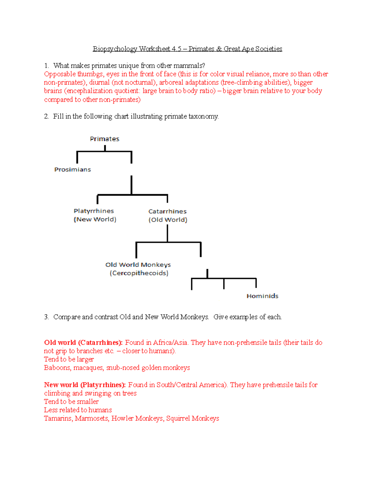 si-worksheet-4-4-primates-great-ape-societies-biopsychology-worksheet-4-primates-studocu