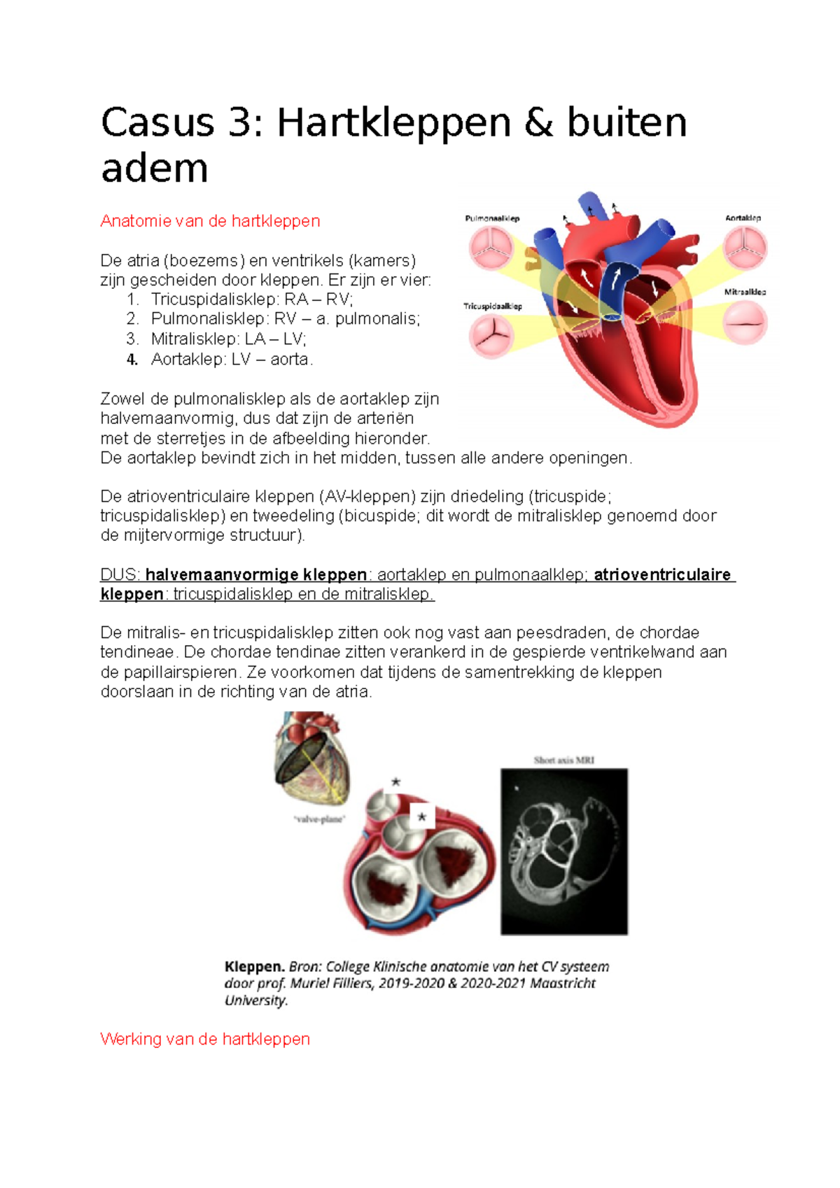 Casus 3 Casus 3 Hartkleppen And Buiten Adem Anatomie Van De