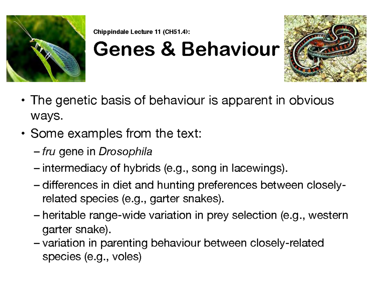 BIOL 103 20 Chipp L12 (1 Slide) - Genes & Behaviour " The Genetic Basis ...