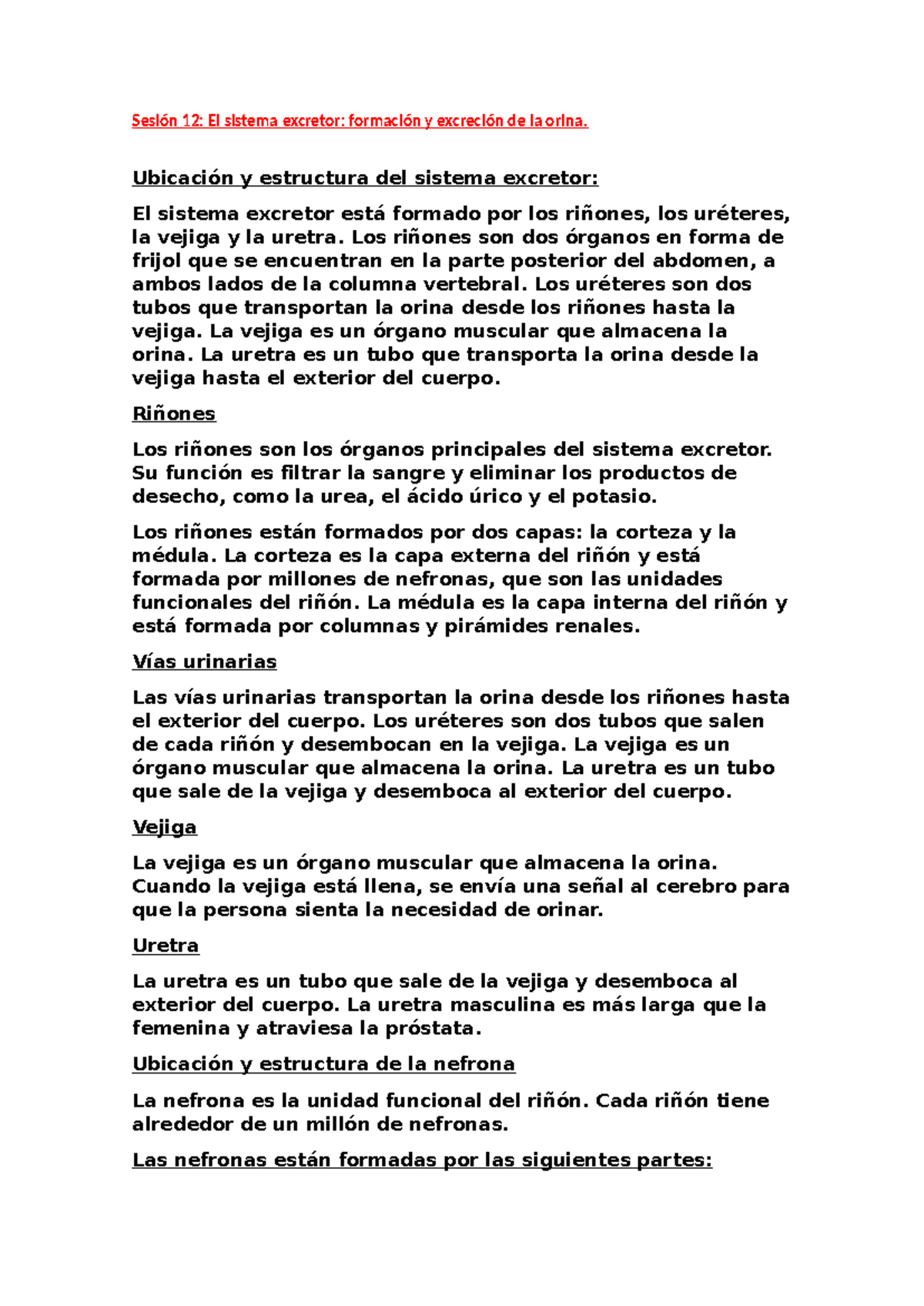 EYF Ultimas Semanas - Sesión 12: El sistema excretor: formación y ...