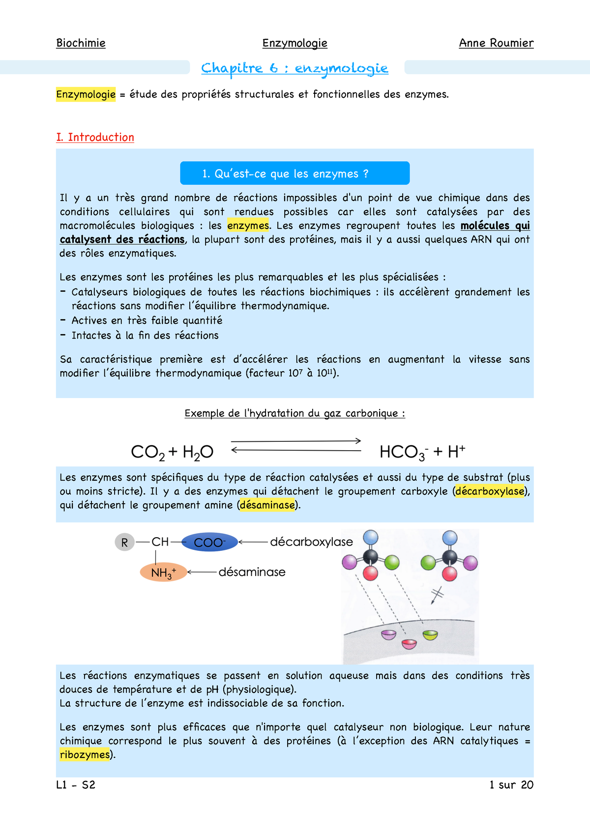 Chapitre 6 - Enzymologie - Chapitre 6 : Enzymologie Enzymologie = étude ...