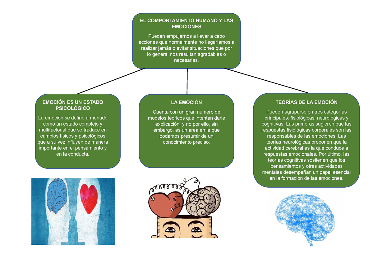 El Comportamiento Humano Y Las Emociones Mapa Visual Berna Portalatino Bj EmociÓn Es Un