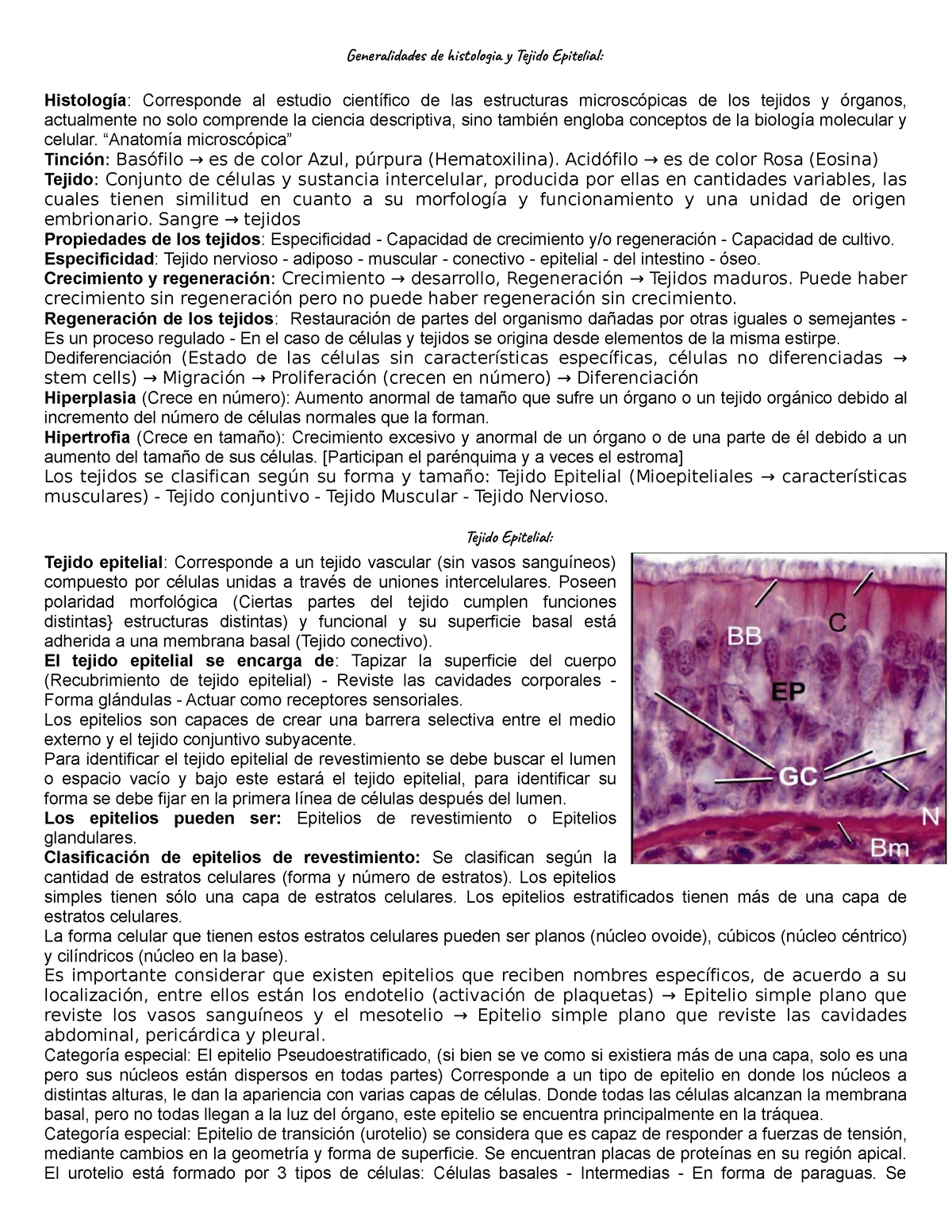 Histoembriología Cátedra Resumen Generalidades De Histologia Y Tejido Epitelial Histología 6076