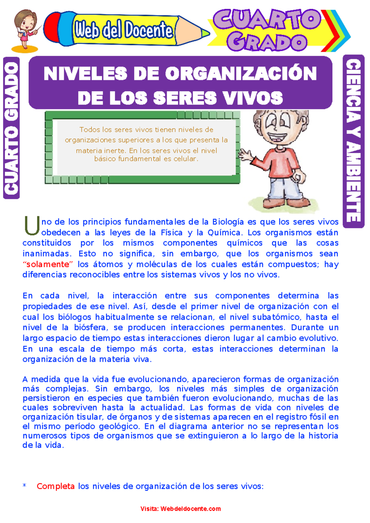 Niveles de Organización de los Seres Vivos para Cuarto Grado de ...