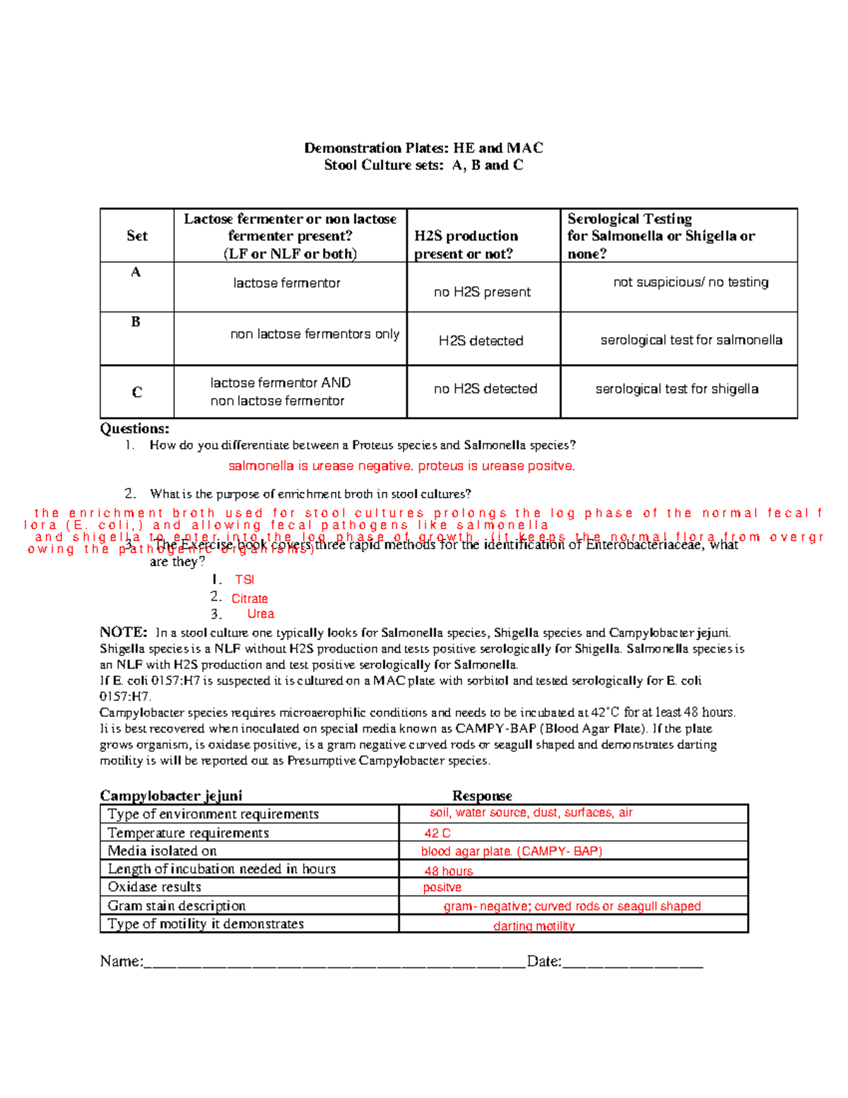 Stool Culture Demonstration Plate Worksheet Demonstration Plates HE