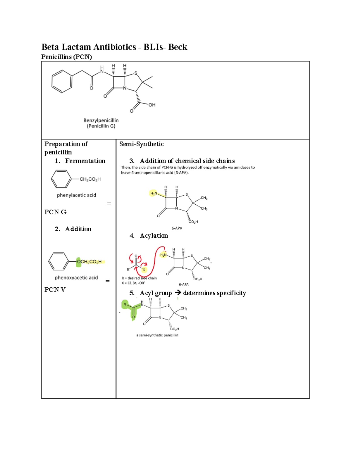 PCNs and BLI - Study notes and practice - Beta Lactam Antibiotics ...
