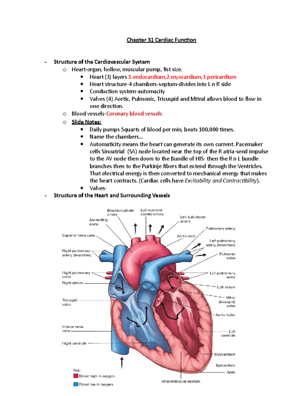 Chapter 31 Cardiac Function Outline FOR Class - Chapter 31 Cardiac ...