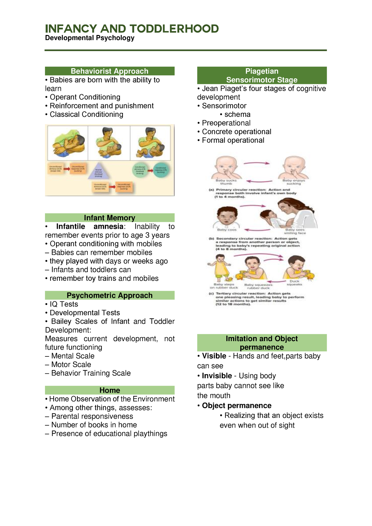 Infant and Toddlerhood - Developmental Psychology - Behaviorist ...