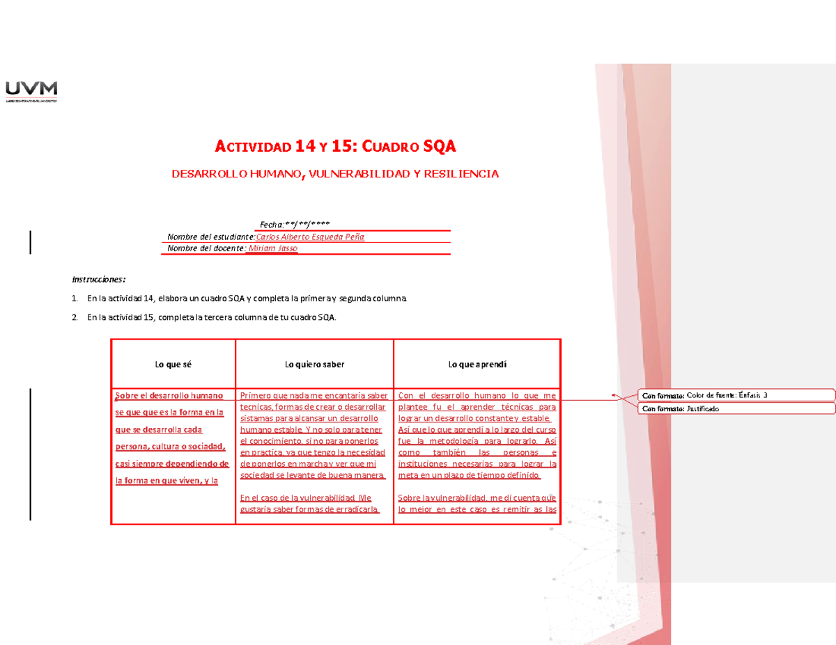A - bkjn - ACTIVIDAD 14 Y 15: CUADRO SQA DESARROLLO HUMANO ...