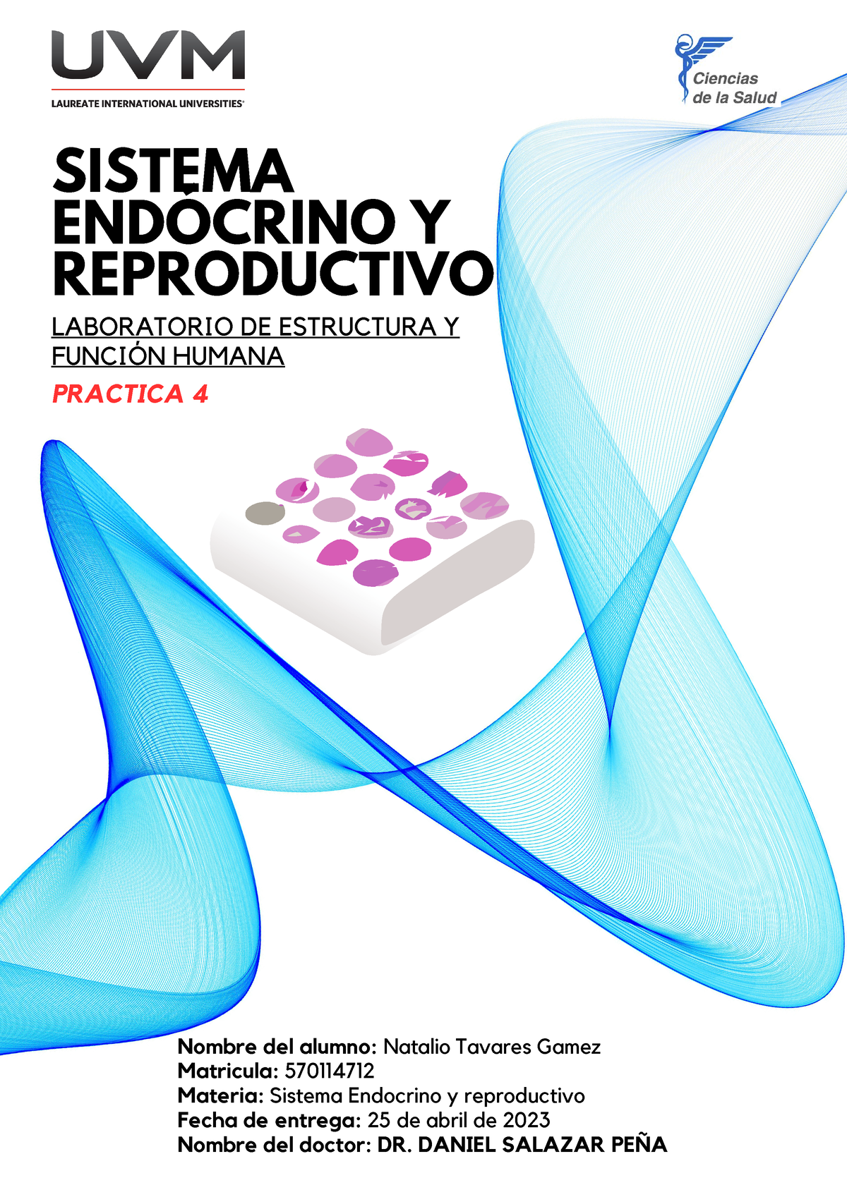 Practica-4 Endocrino - SISTEMA ENDÓCRINO Y REPRODUCTIVO LABORATORIO DE ...