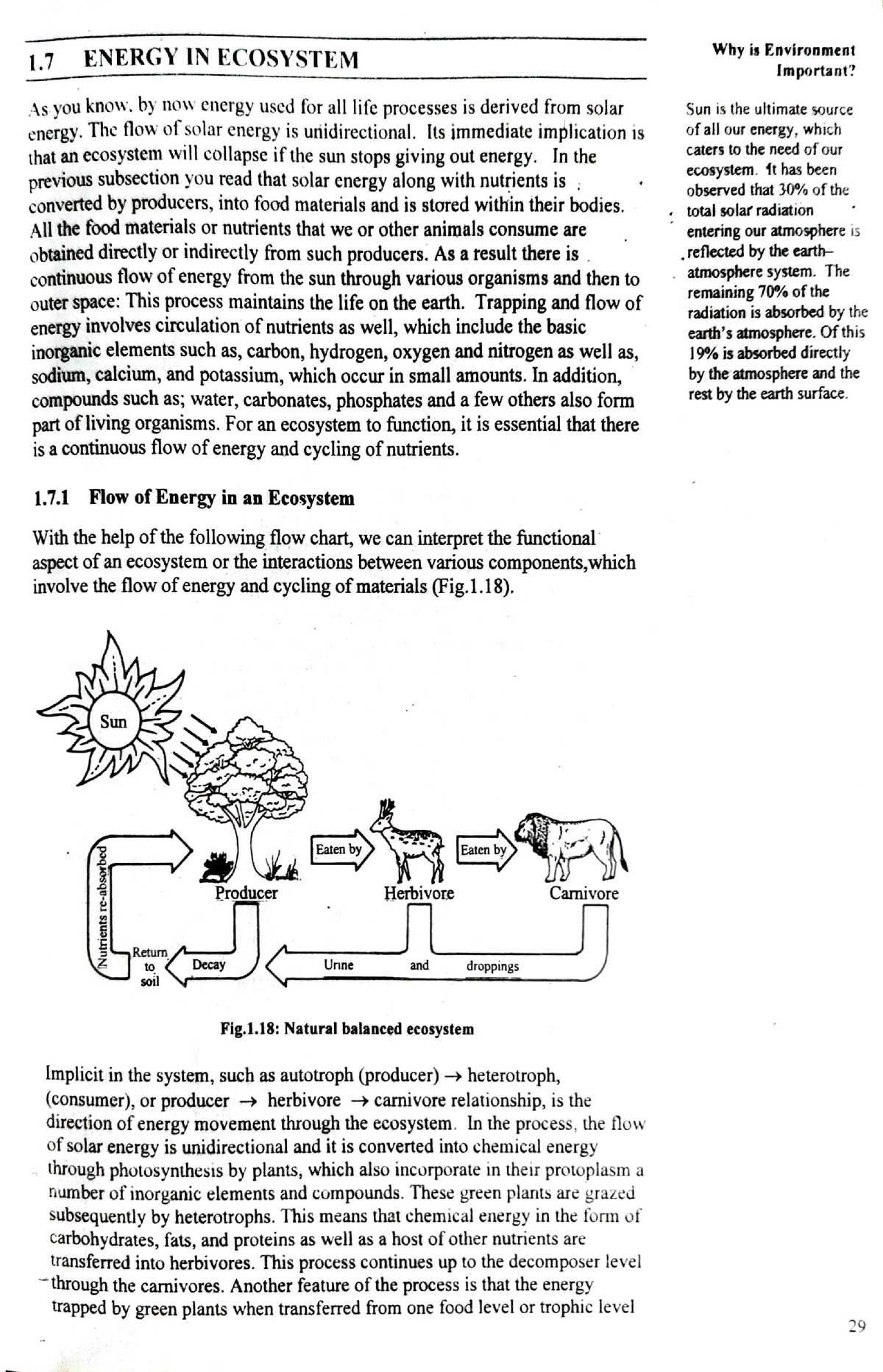 energy-in-ecosystem-lecture-notes-1-energy-in-ecosystem-why-is