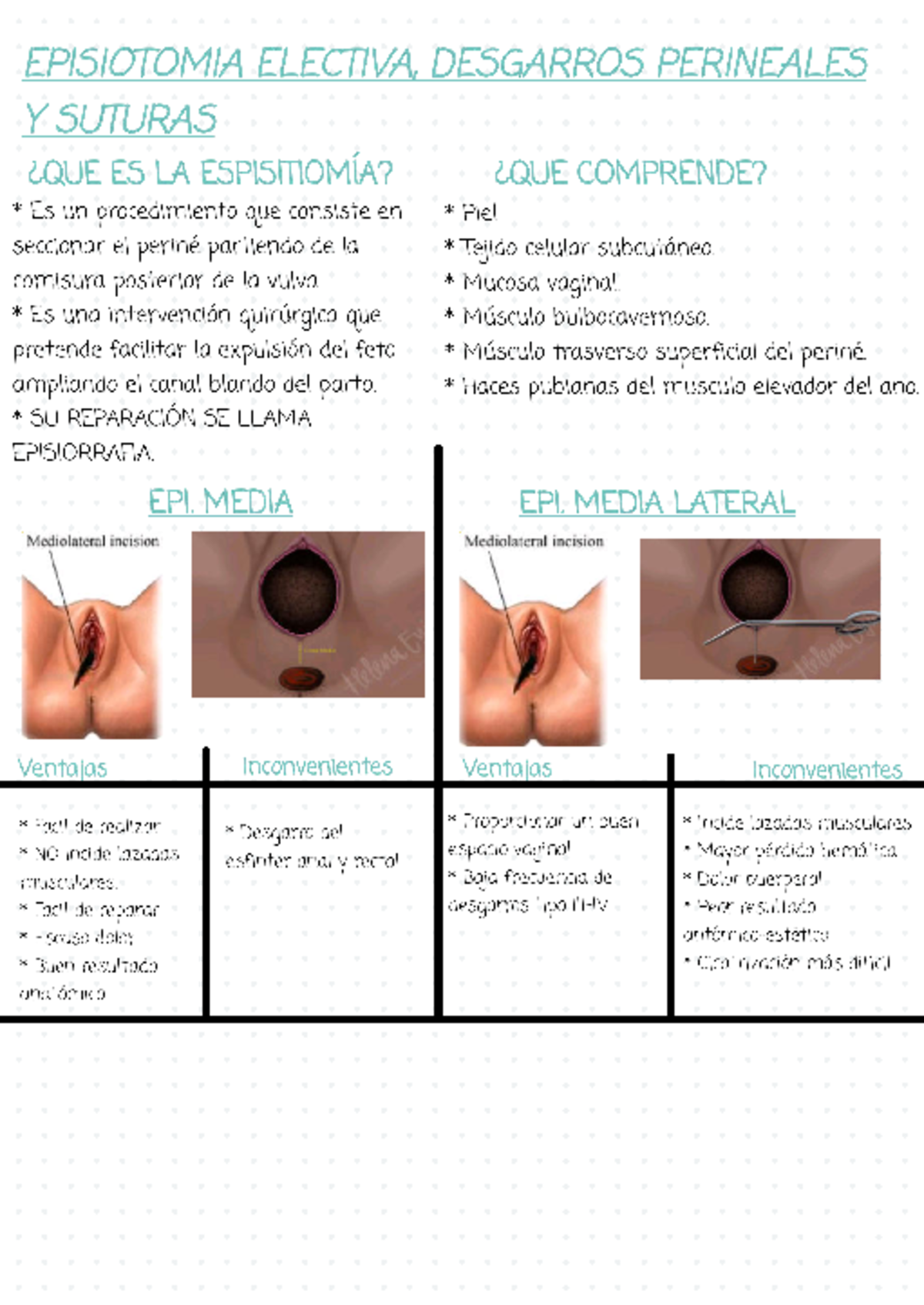 Episiotomia - Apuntes de episiotomía - Internado Ginecología I - Studocu
