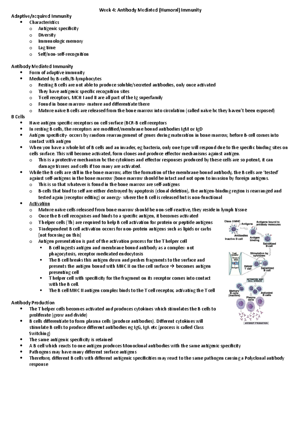 immunology-lecture-4-week-4-antibody-mediated-humoral-immunity