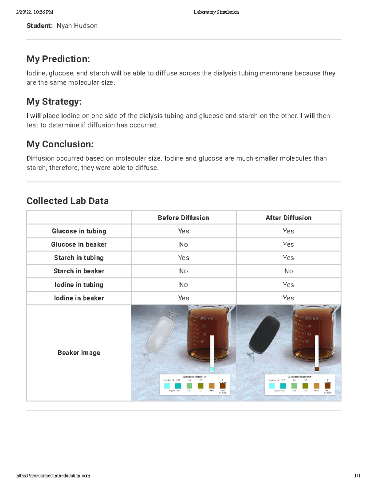 a-new-way-of-measuring-semi-permeable-membranes