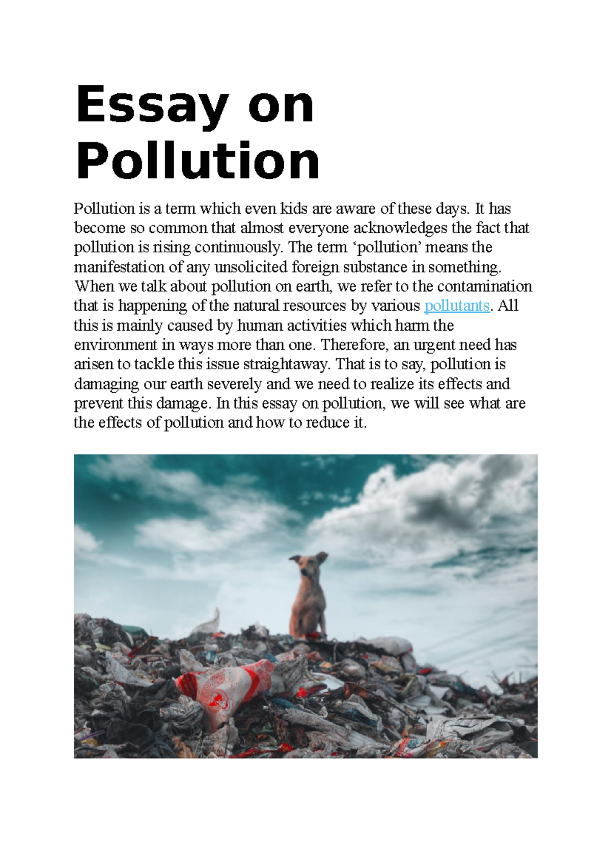 high school essay on pollution