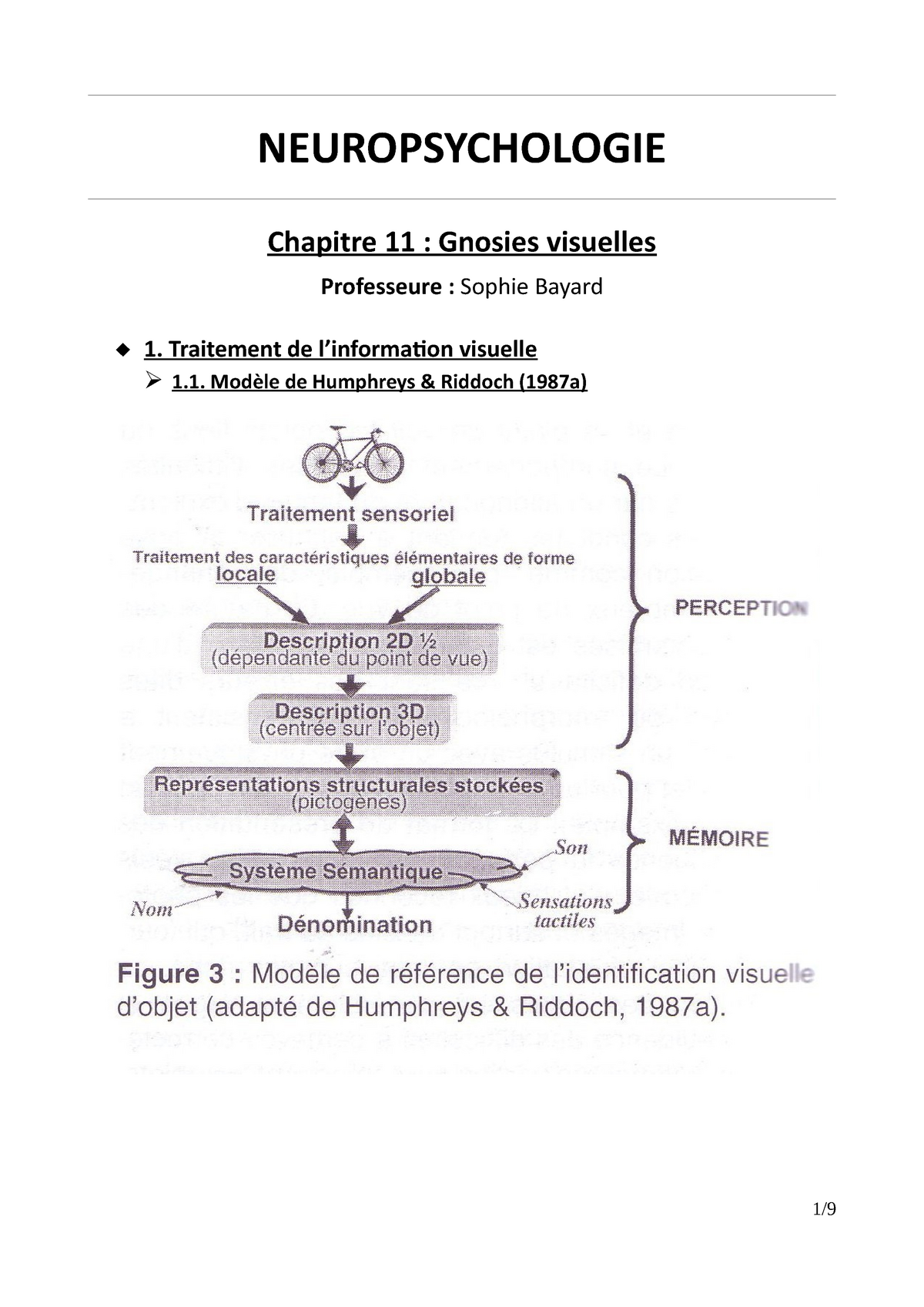 Neuropsychologie - Chapitre 11 - NEUROPSYCHOLOGIE Chapitre 11 : Gnosies ...