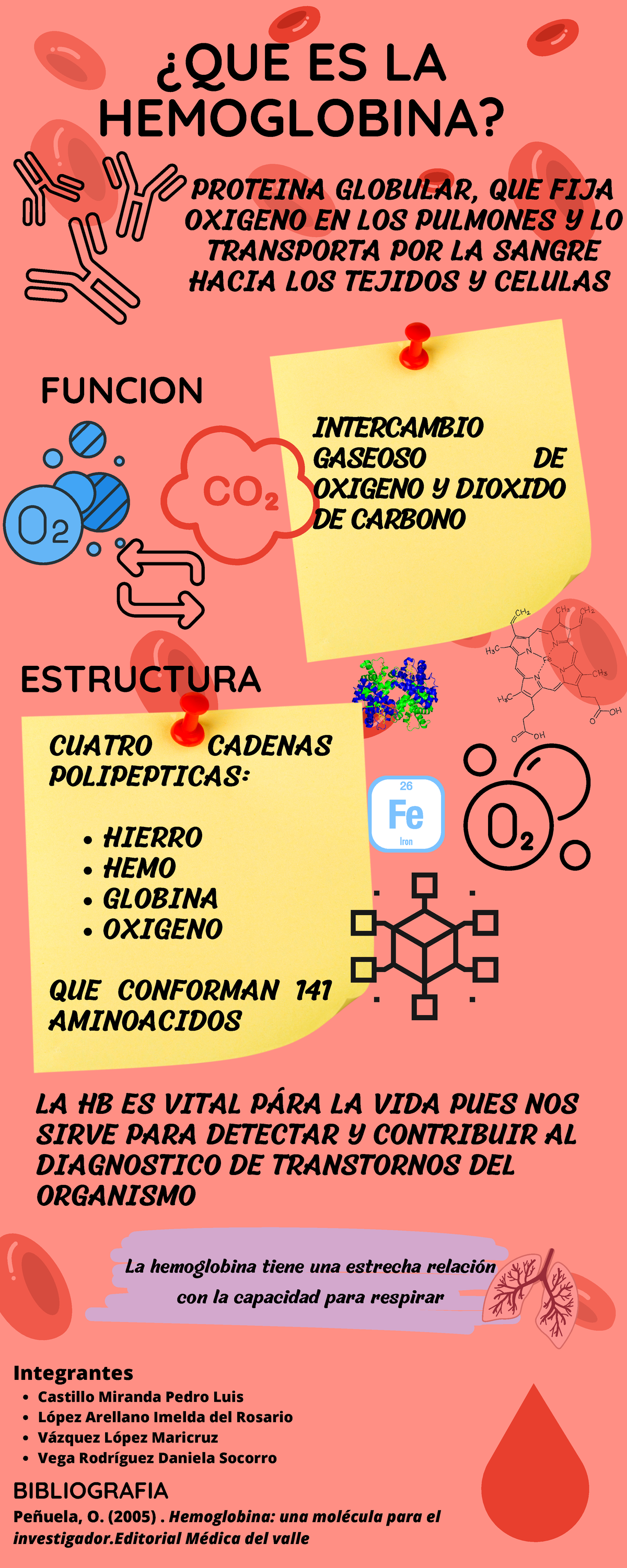 Infografia Hemoglobina ¿que Es La Hemoglobina Proteina Globular Que Fija Oxigeno En Los 0624